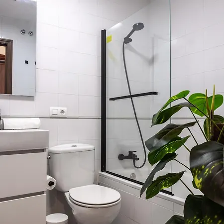 Apartment Luxlight Málaga